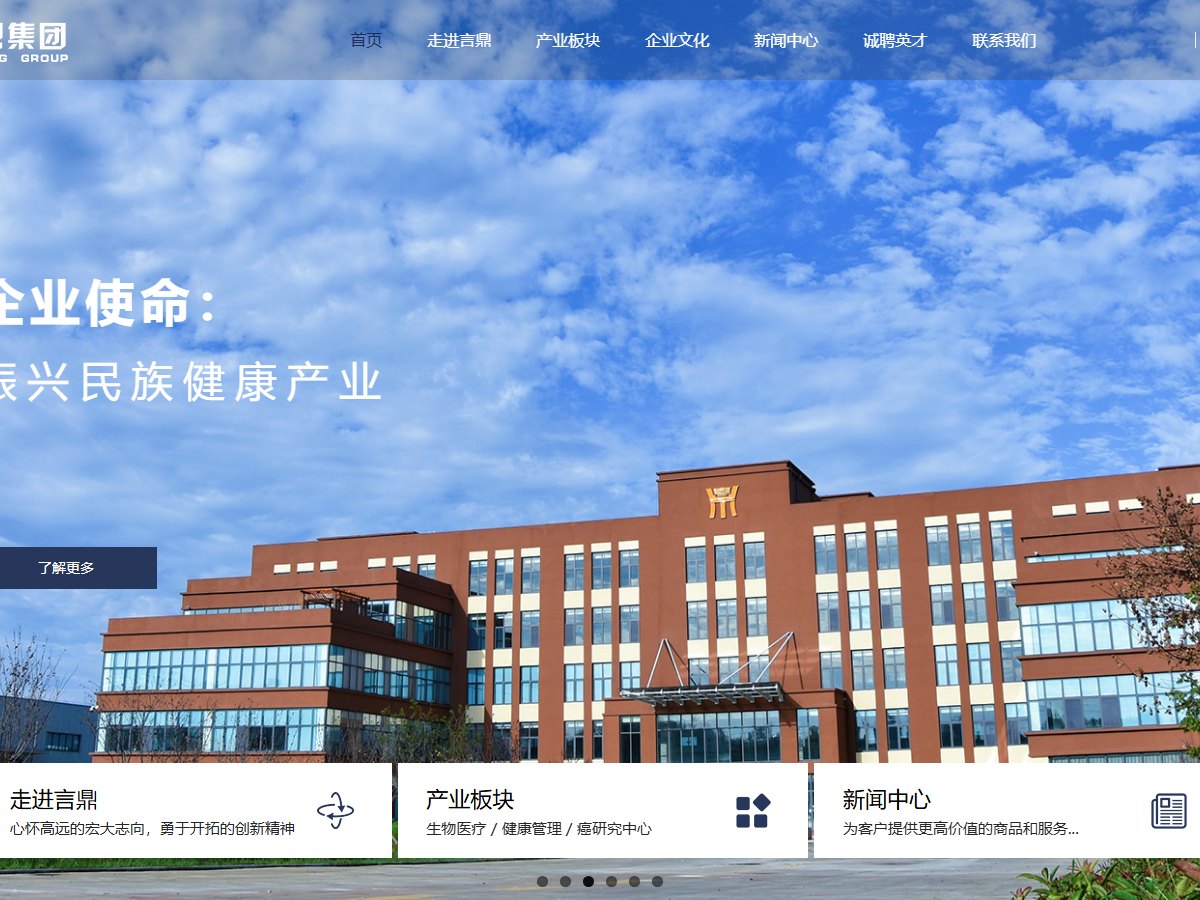 言鼎控股